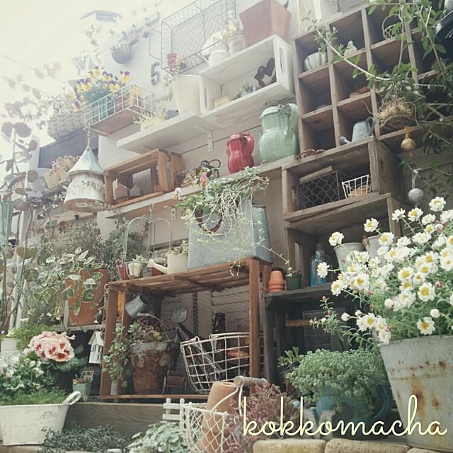 kokkomachaさんの実例写真
