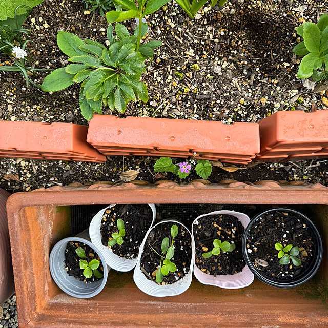 mamizaさんの部屋