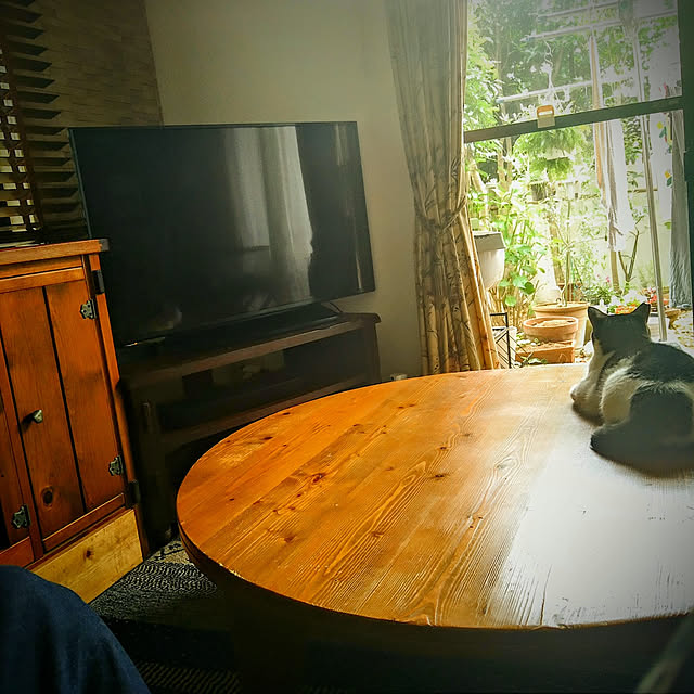 okyosan101さんの実例写真
