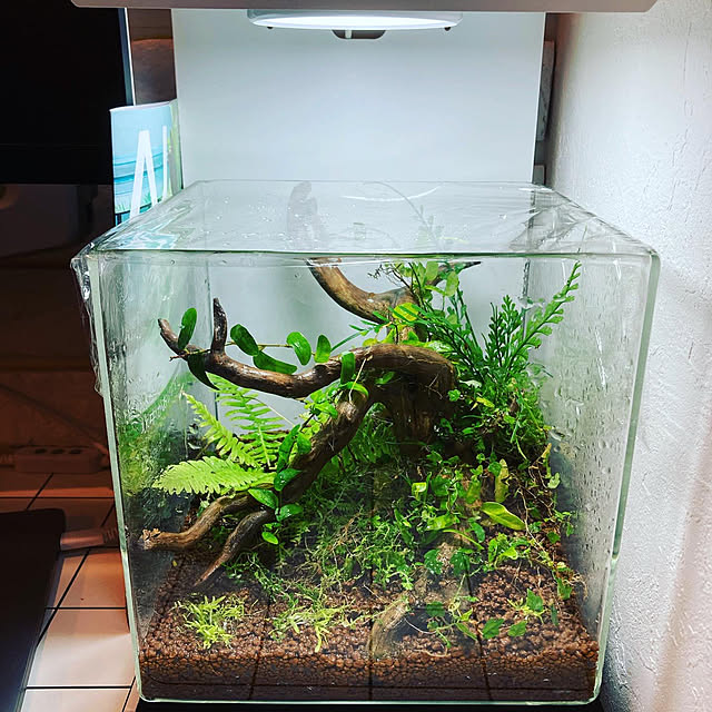 aquarist_tkさんの実例写真