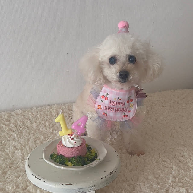 akko1205さんの実例写真