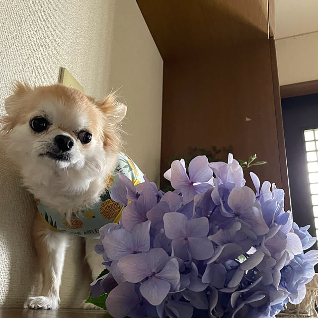 natsumiさんの実例写真