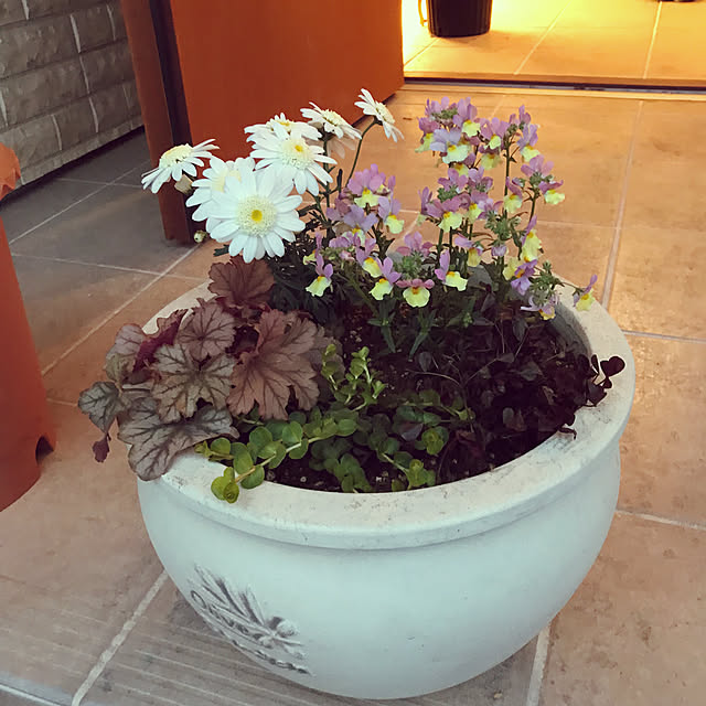 nbby16さんの部屋