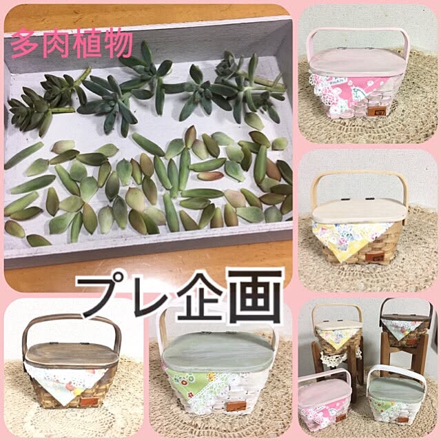 mockさんの実例写真