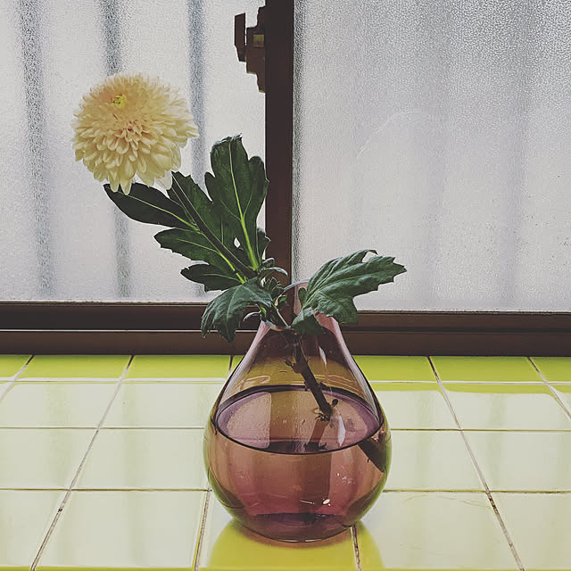 tomoyo322さんの実例写真