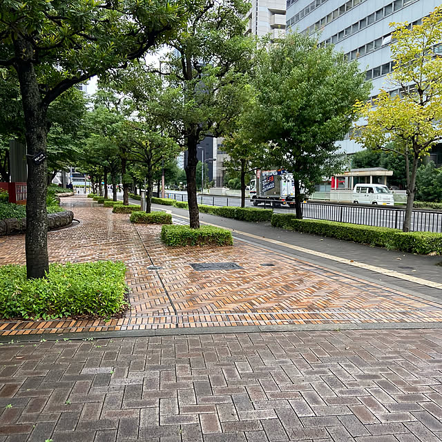 実例写真