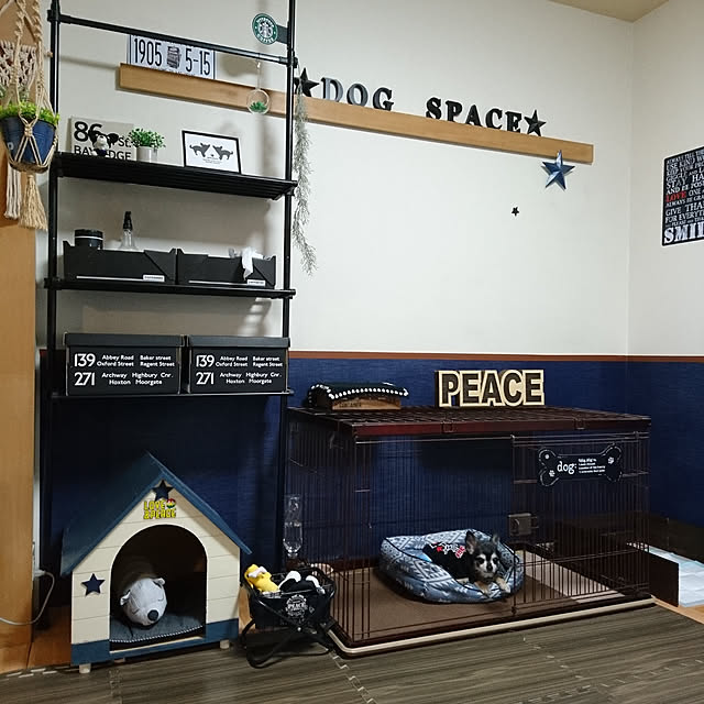 lovepeaceさんの実例写真