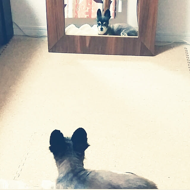 nia1213さんの実例写真