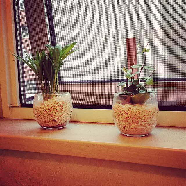 yuuさんの実例写真