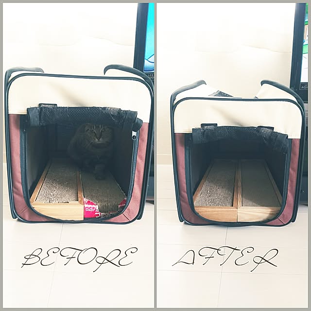 hinaさんの実例写真
