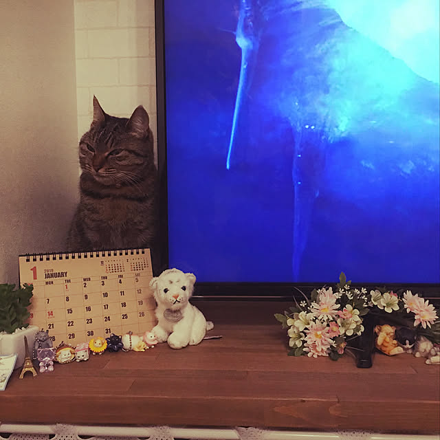実例写真