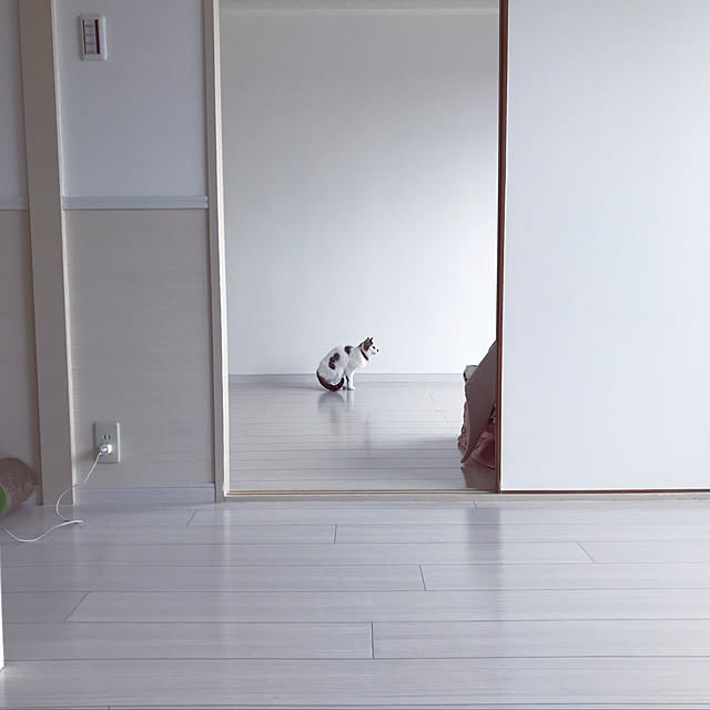 yuri_930さんの実例写真