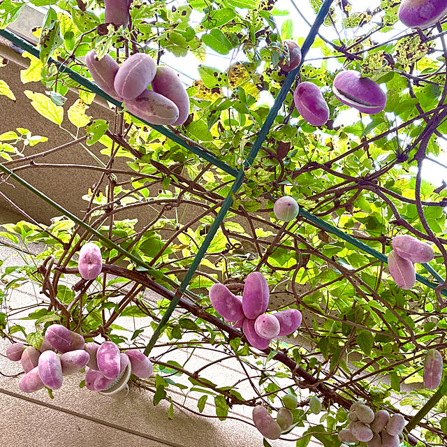 takakoさんの部屋