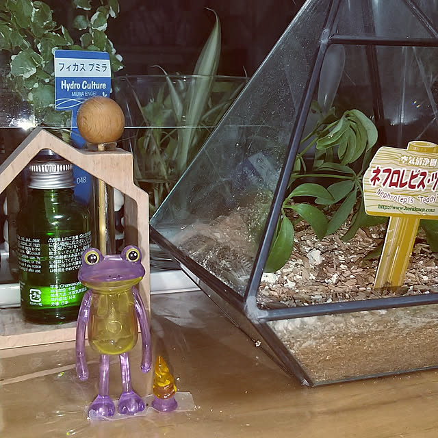 kogekogeさんの実例写真