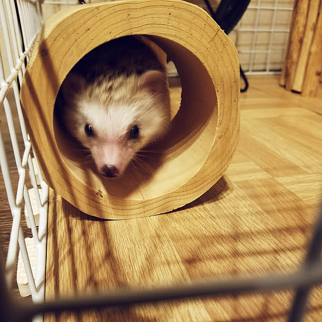 MINIさんの実例写真