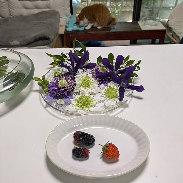 mori_6_12さんの部屋