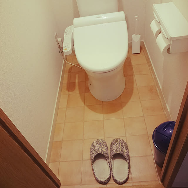 Satokoさんの実例写真