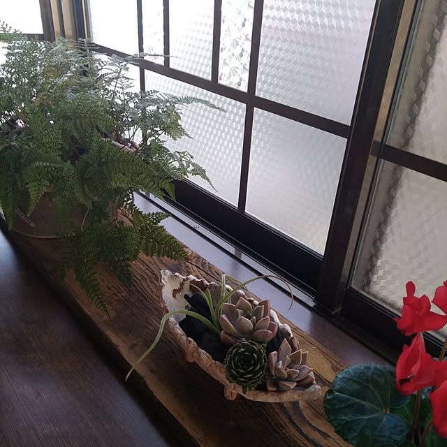 Doryさんの部屋