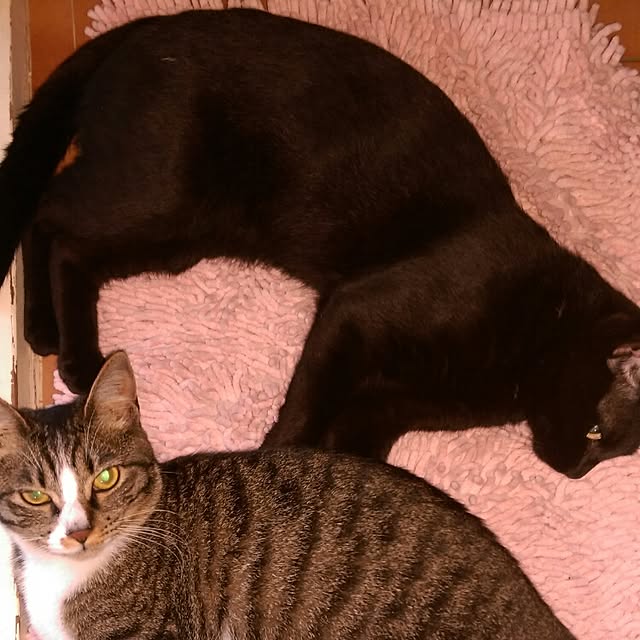 OKANさんの実例写真