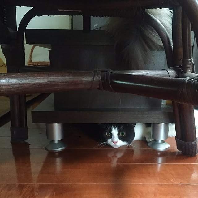 butachanさんの実例写真