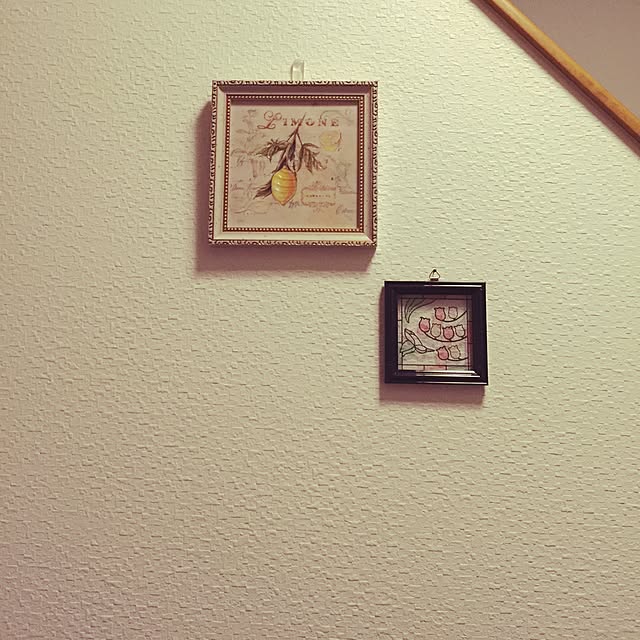 anriさんの実例写真