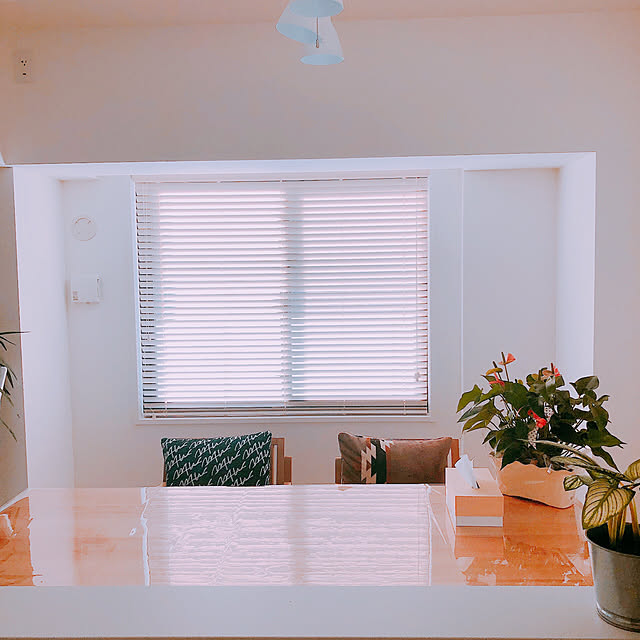 dieeesel.v_vさんの実例写真