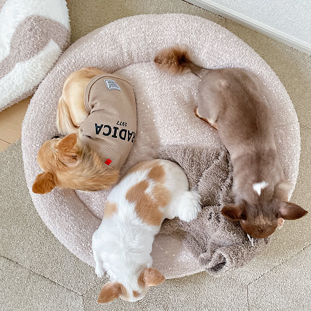 .room.589さんの実例写真