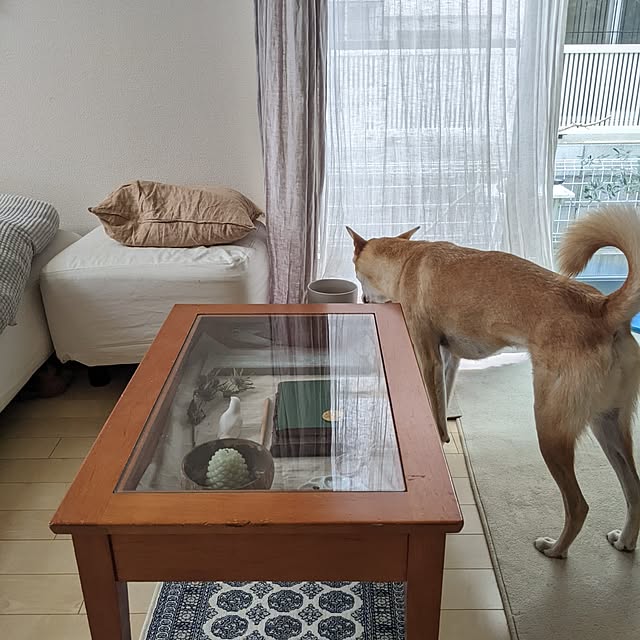 matsuchiyosaさんの部屋