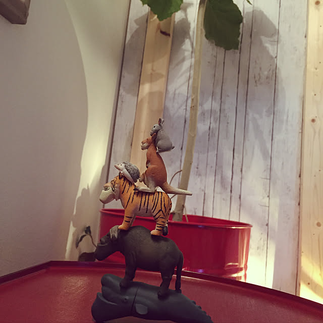 aninさんの実例写真