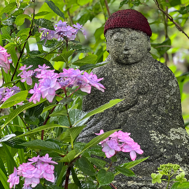 sakakenさんの実例写真