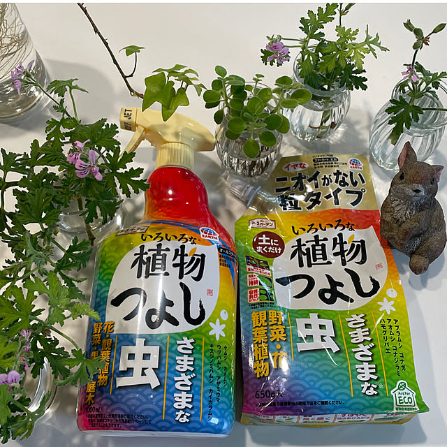 SIELUさんの実例写真