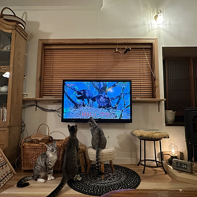 Nekogaoka_houseさんの実例写真