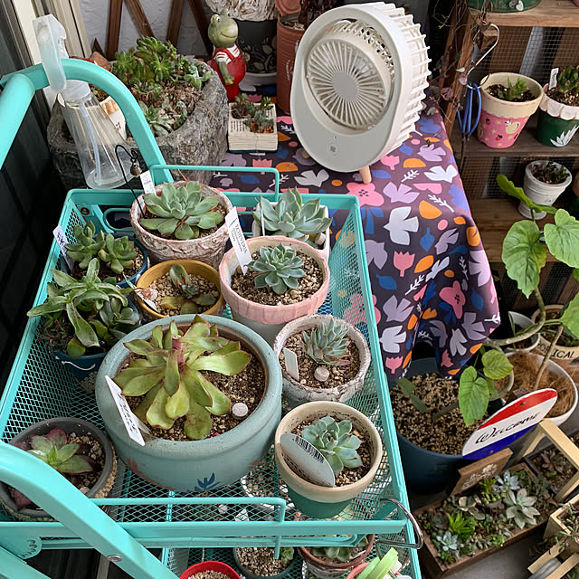 Fumiさんの部屋