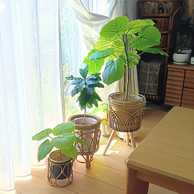 h.t.さんの実例写真