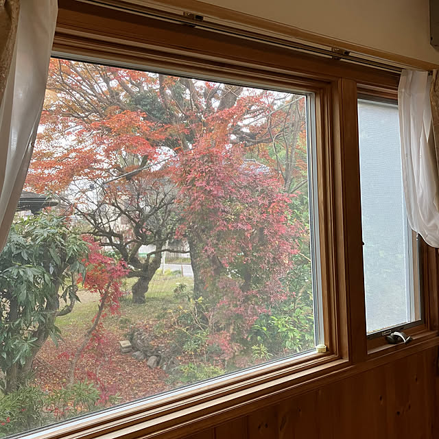 ikubooさんの部屋