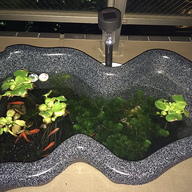 eriy0711さんの実例写真