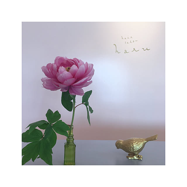 kozakura10さんの実例写真