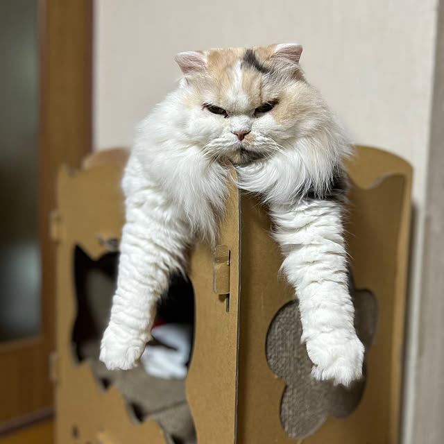 keibooさんの実例写真