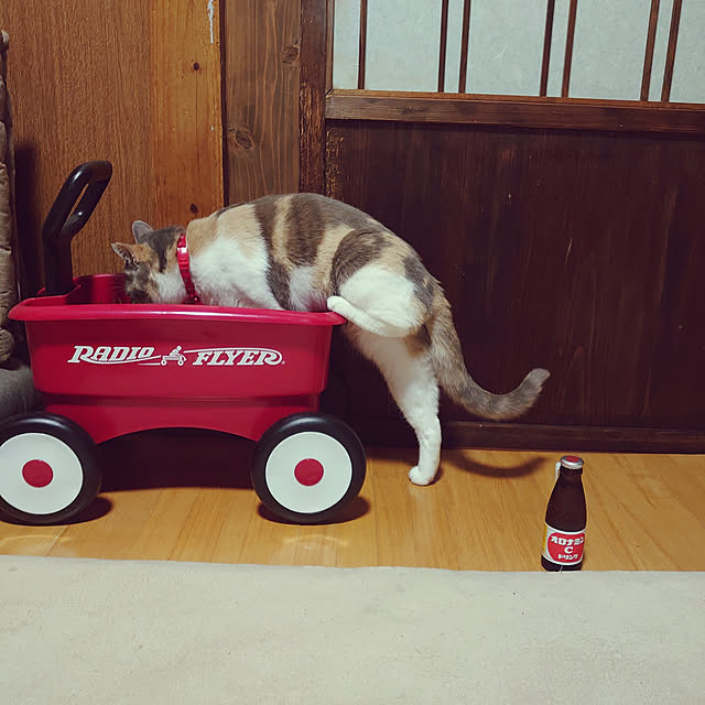 fukuさんの実例写真