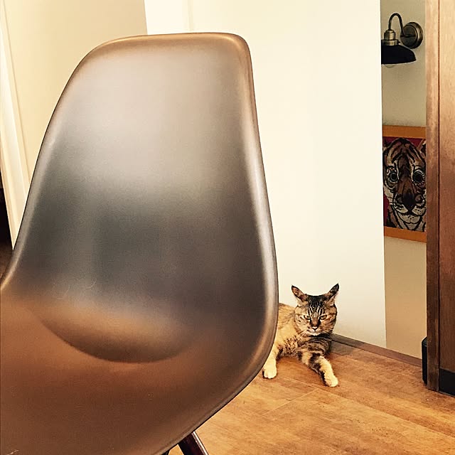 Yoichiさんの実例写真