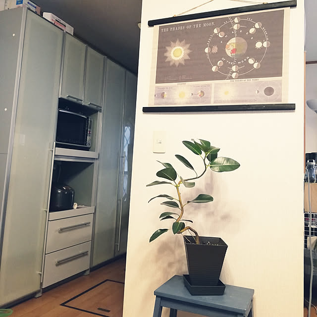 リビング/観葉植物/観葉植物のある生活/楽天市場/IKEA...などのインテリア実例 - 2019-09-27 06:14:15