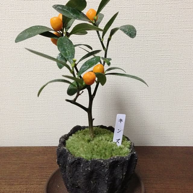 washoさんの実例写真