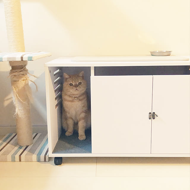 cocoさんの実例写真