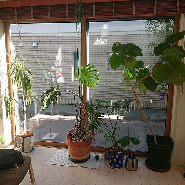 urchinさんの部屋