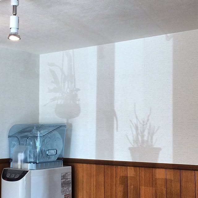 uresikaさんの実例写真
