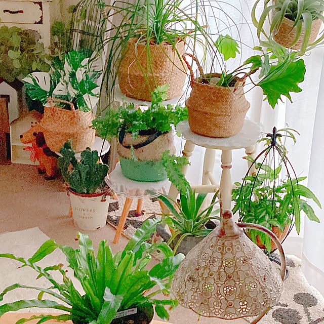 Hanakaさんの部屋