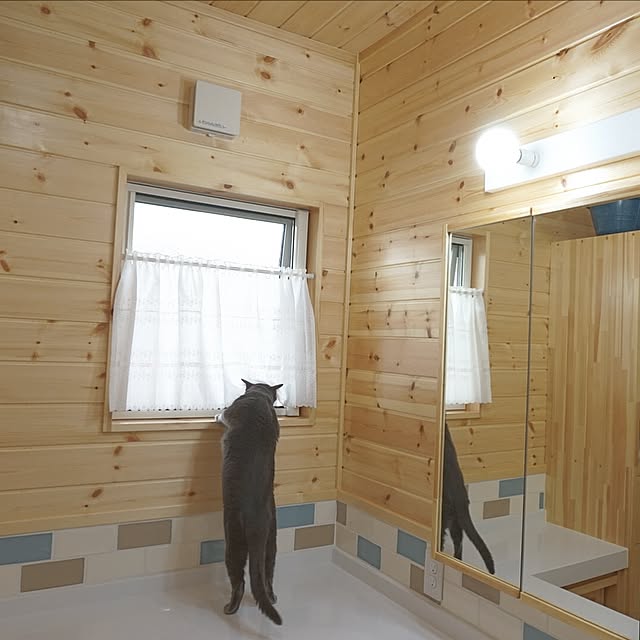 Emiさんの実例写真
