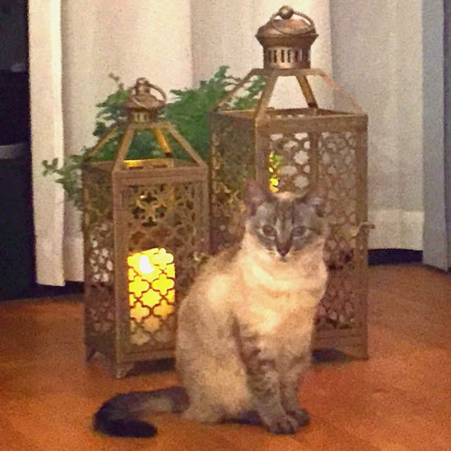 bonobono54さんの実例写真