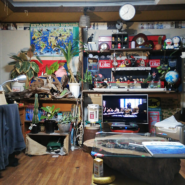 SYOUGUNさんの実例写真