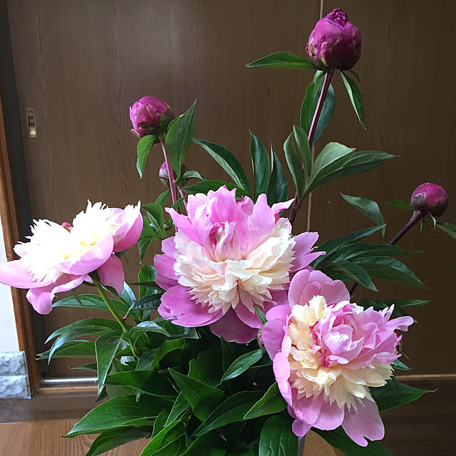 araimama-01170520さんの実例写真
